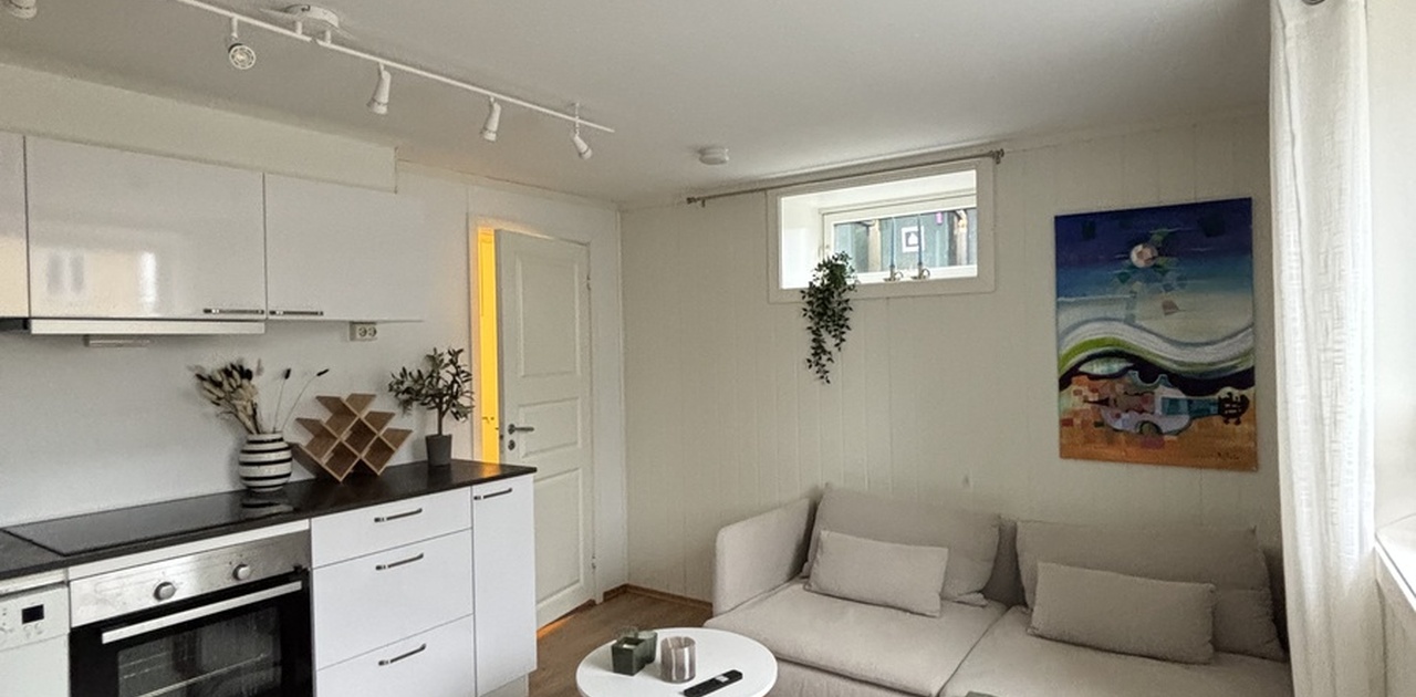 Lys og trivelig 3 roms