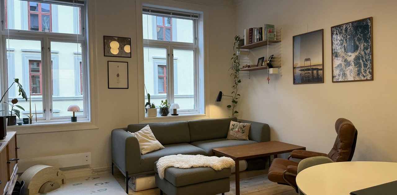 Stue. Hyller, sofa og puff er inkludert i leie.