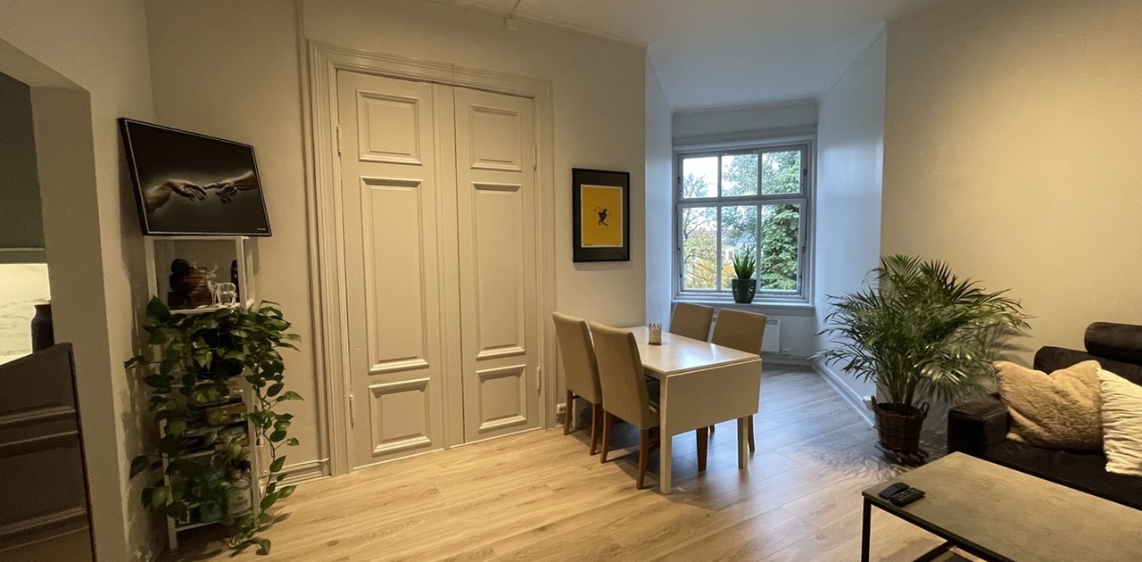 Stort og romslig stue