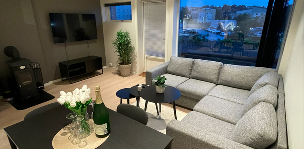 Stue med TV, peis og spisekrok