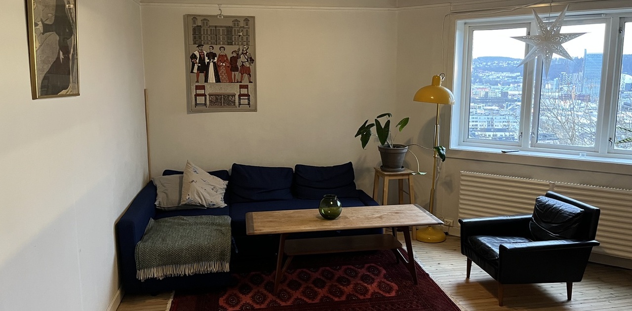 Sovesofa med lagringsplass