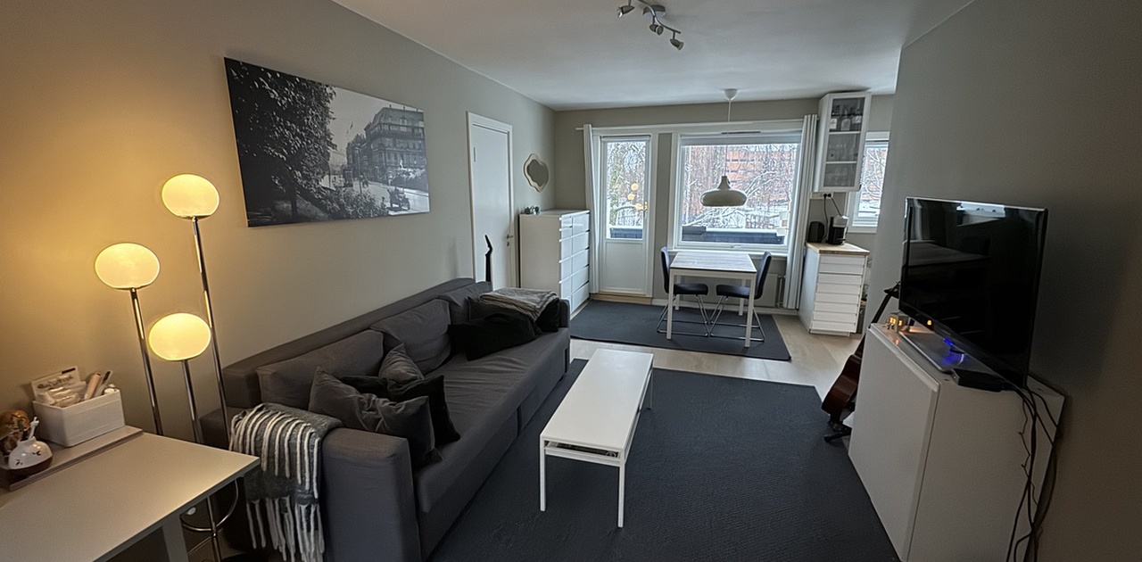 Stue/spisestue med TV, sovesofa, skrivebord og uttrekkbart spisebord