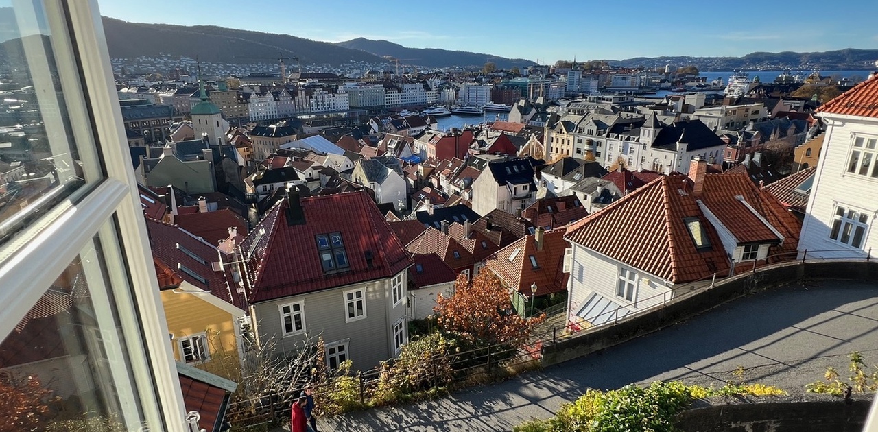 Utsikt fra stuen