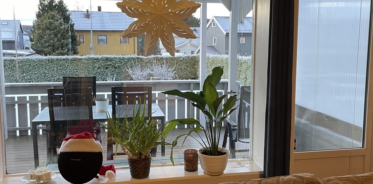Utsikt fra stuen