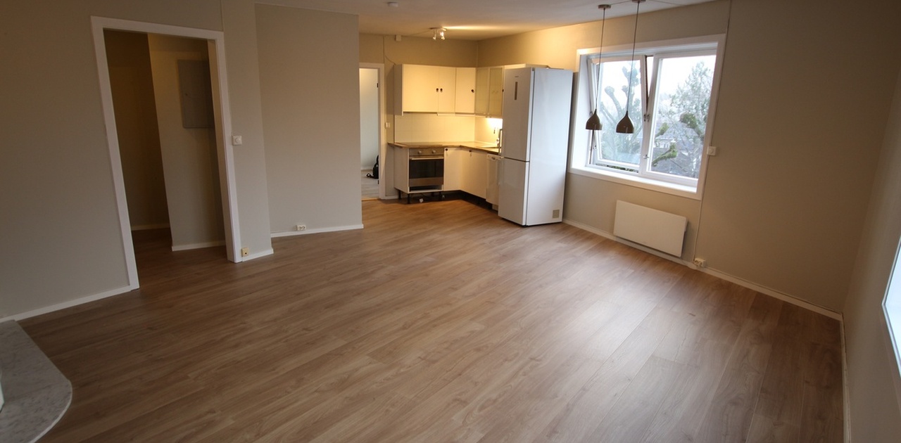 Stue - kjøkken -gang