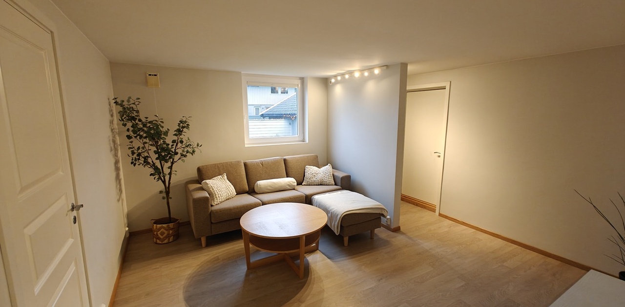 Romslig stue med sofa og bord