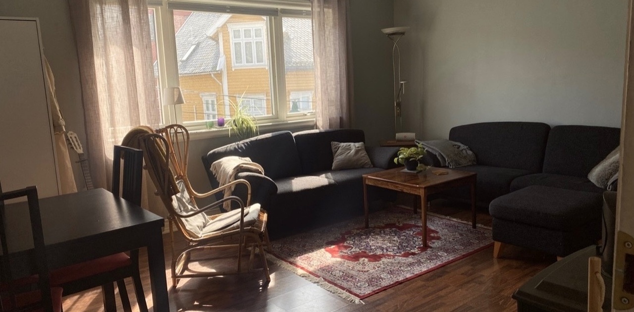 Romslig stue med overflater som er lette å holde rene.