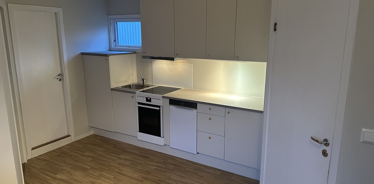 Kjøkken med alle hvitevarer