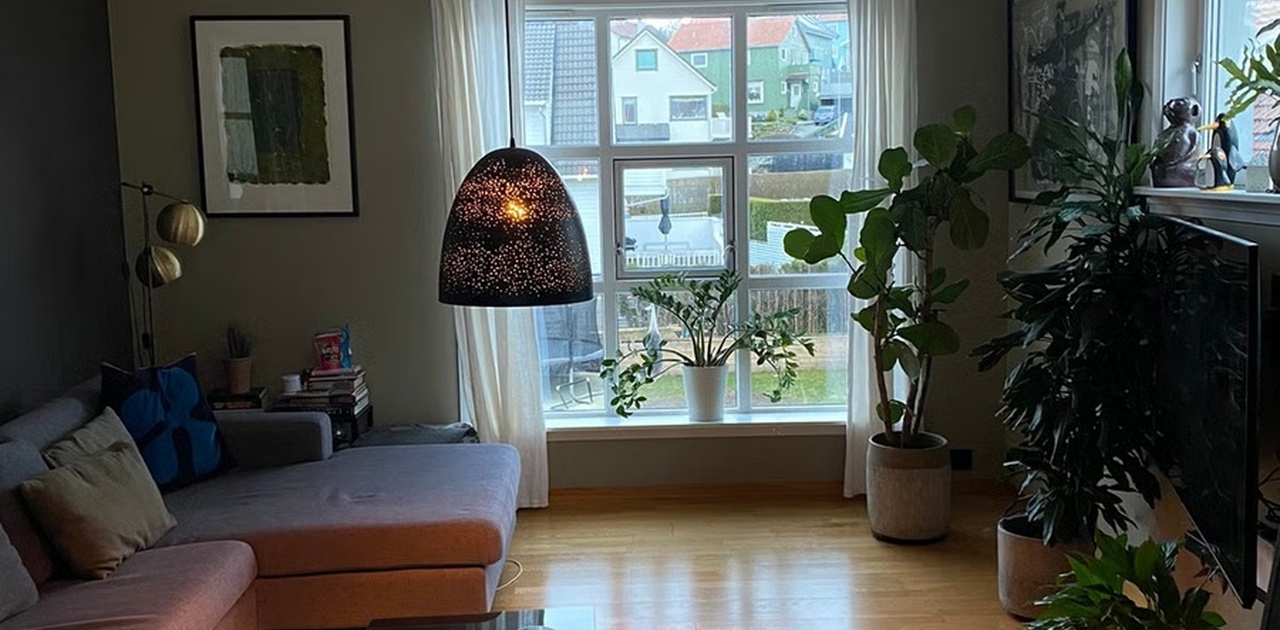 Stue / Cozy living room