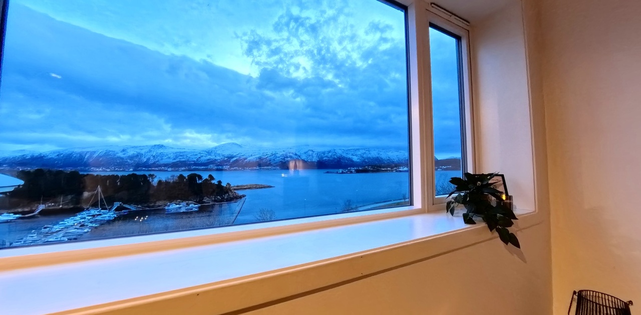 utsikt stue!