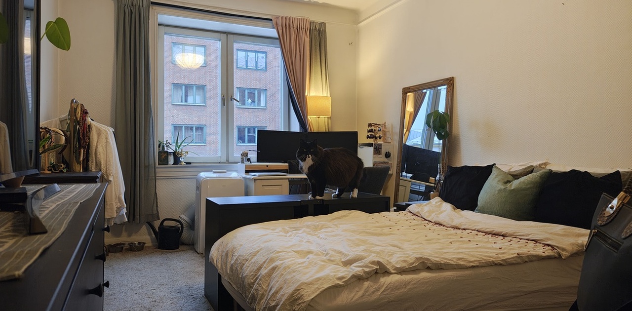 Rom til leie, med visitt fra George,