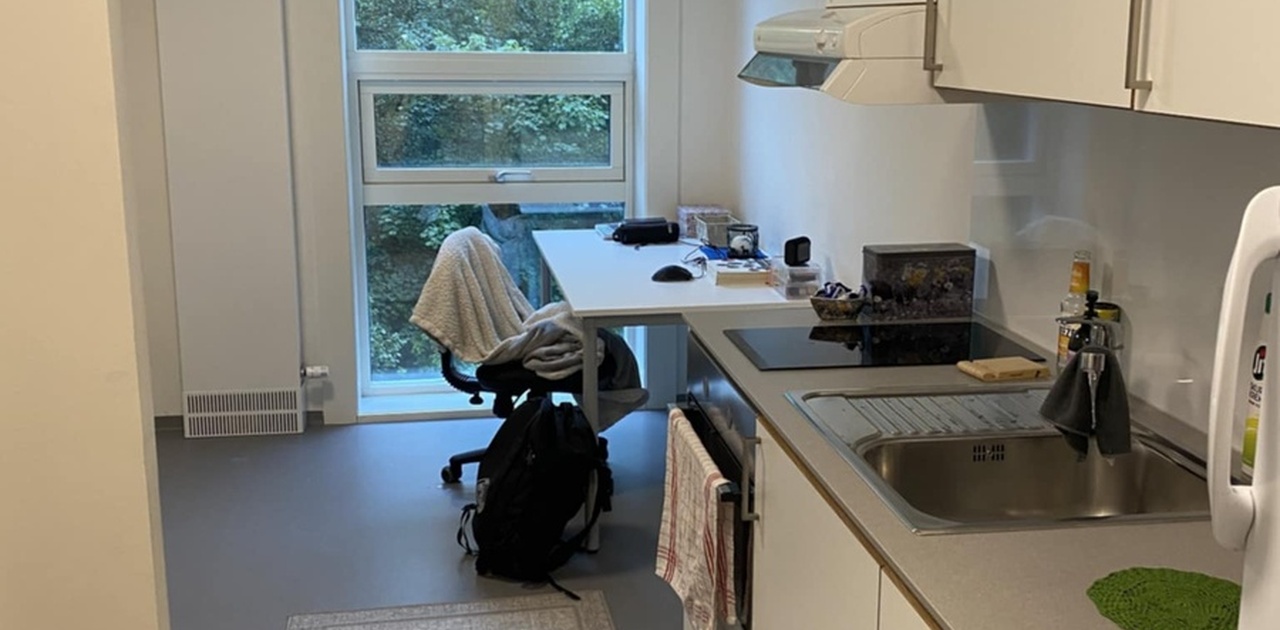 utsikten frå inngangspartiet. Til venstre er døra til badet og 4 kroker du kan henge jakker på. The view from the entrance. On the left is only the door to the bathroom and 4 hooks to hang coats on.