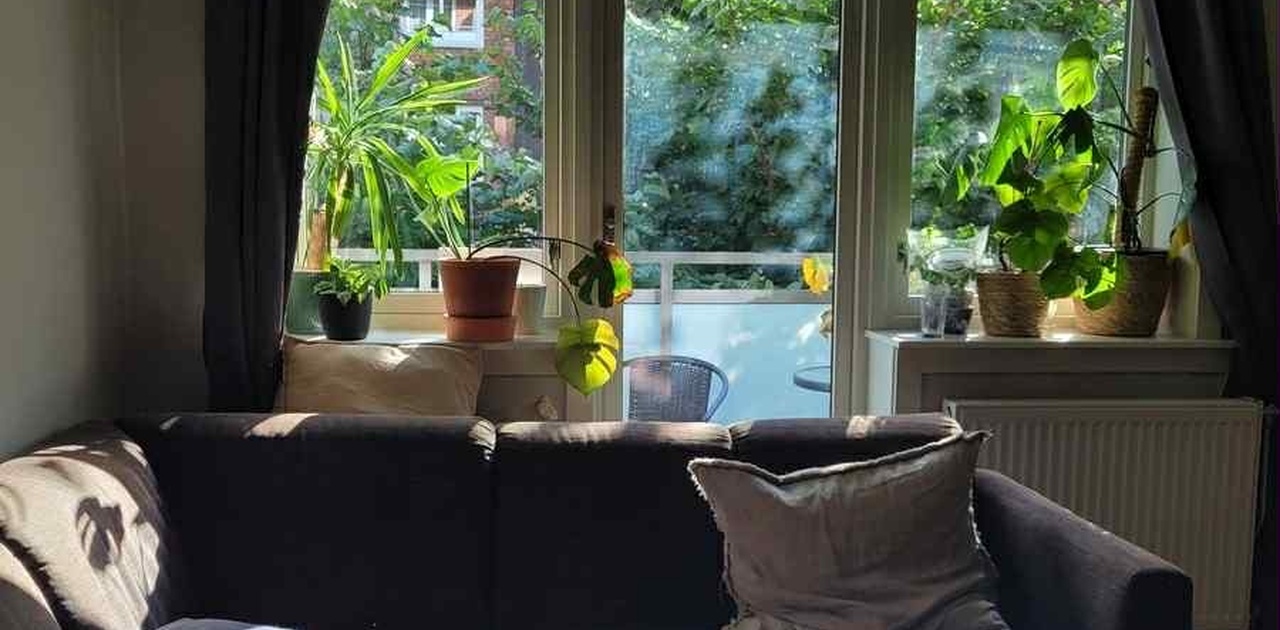 Stua når ettermiddagssola kommer inn! Om sommeren er sola her fra ca. kl.12 - 20.