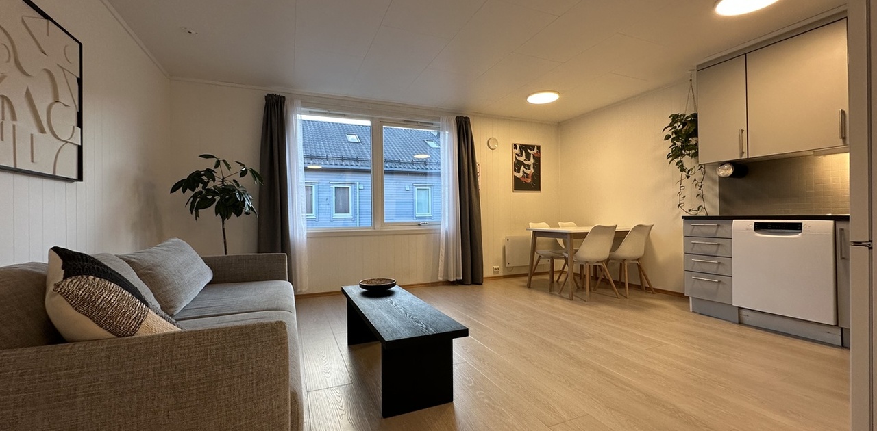 Åpen stue/kjøkkenløsning med sovesofa