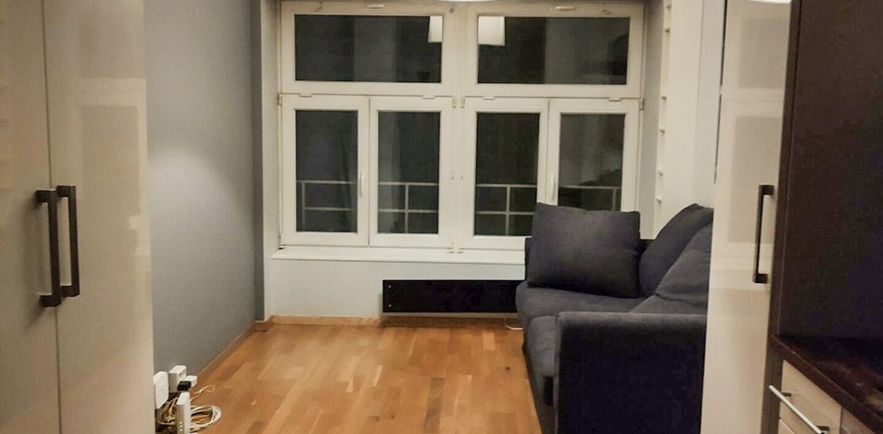 Stue/soverom med sovesofa