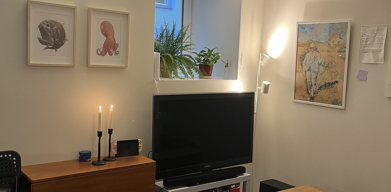 Slik er stuen innredet nå!