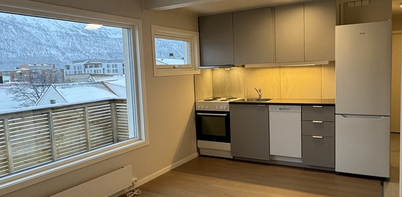 Nytt  kjøkken med integrerte hvitevarer