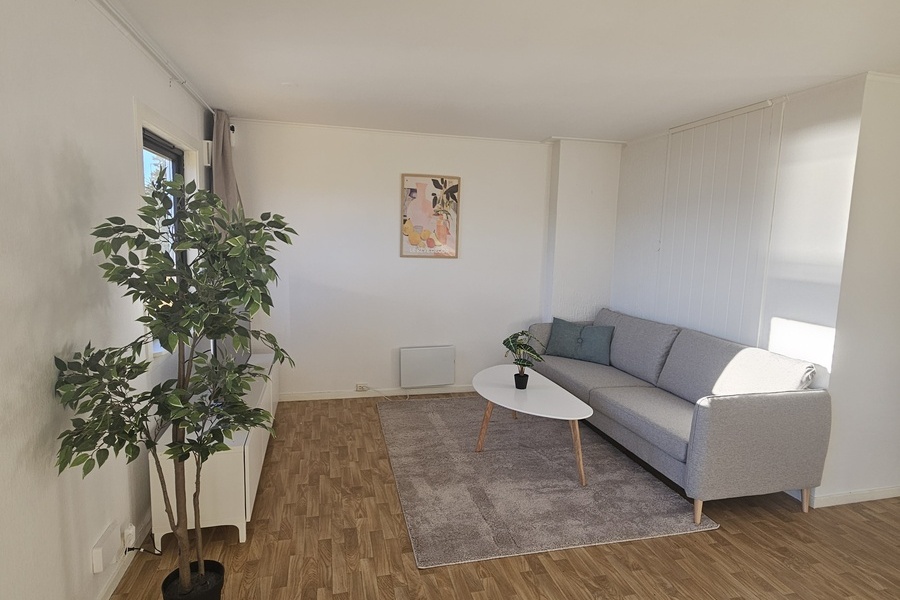 4 rom i bofellesskap