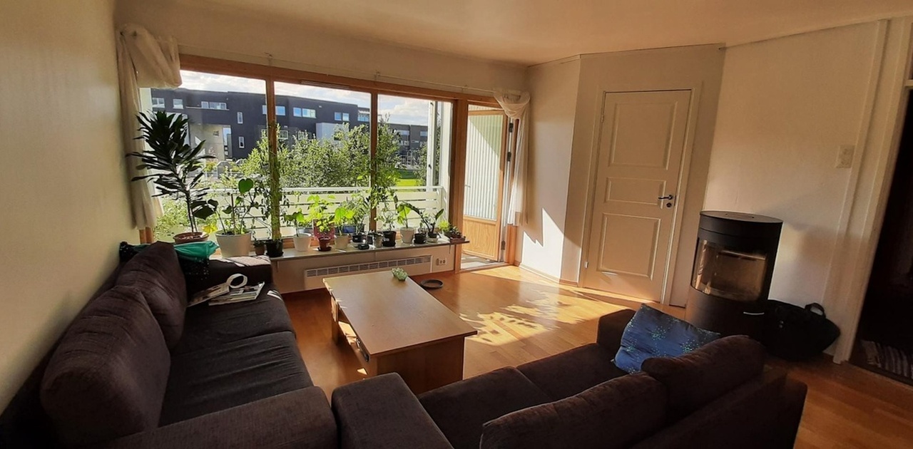 Light and spacious living room