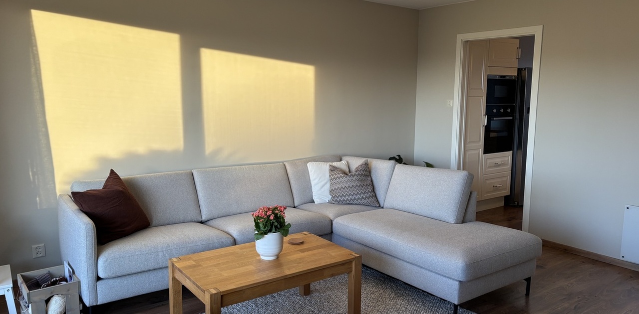 Romslig stue med gode solforhold!