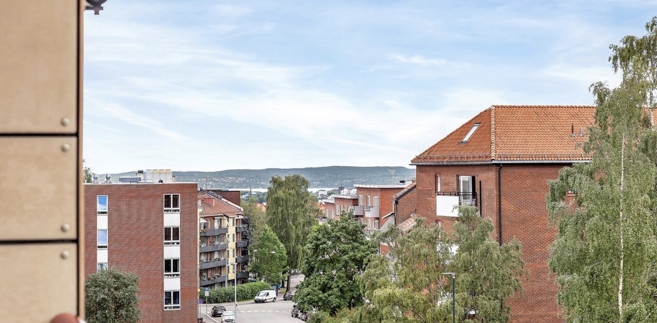 Utsikt mot oslofjord