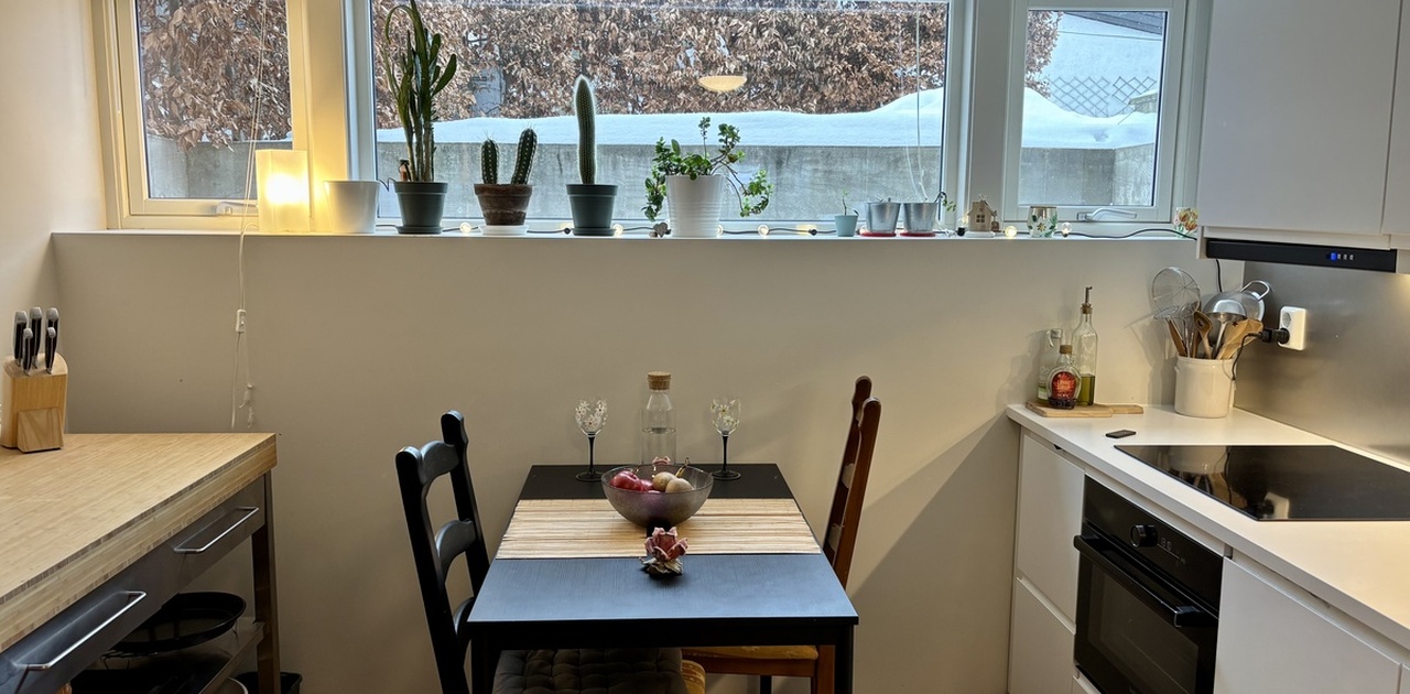 Kjøkken og spisedel