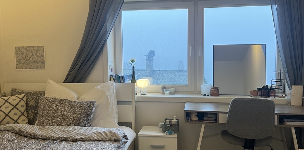 Rommet som leies ut på 17 kvadratmeter