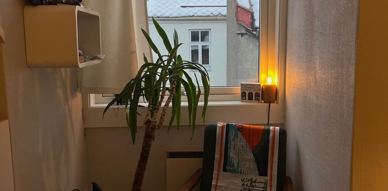 Cozy area by the window