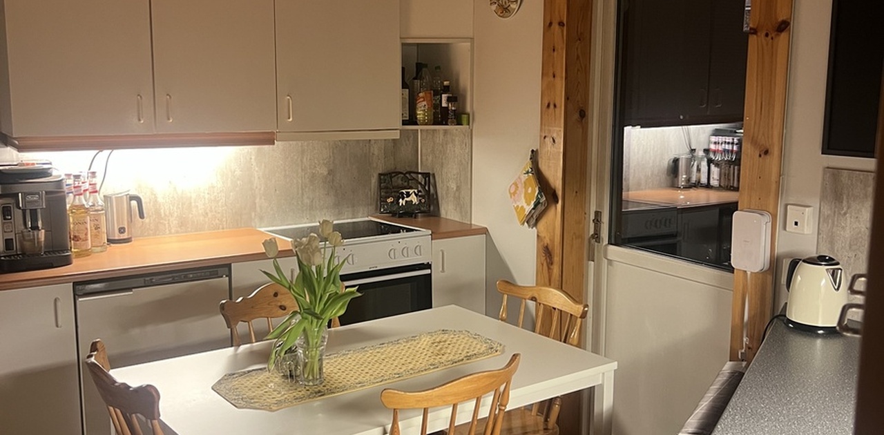 Kjøkkenet, med alt man trenger av hvitevarer