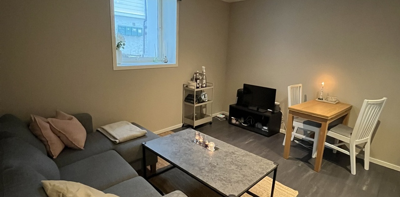 Stue/kjøkken med åpen løsning