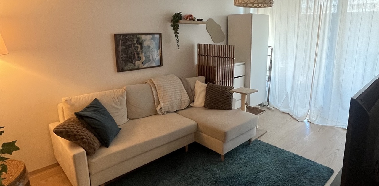 Stort vindu med solskinn inn mot stue