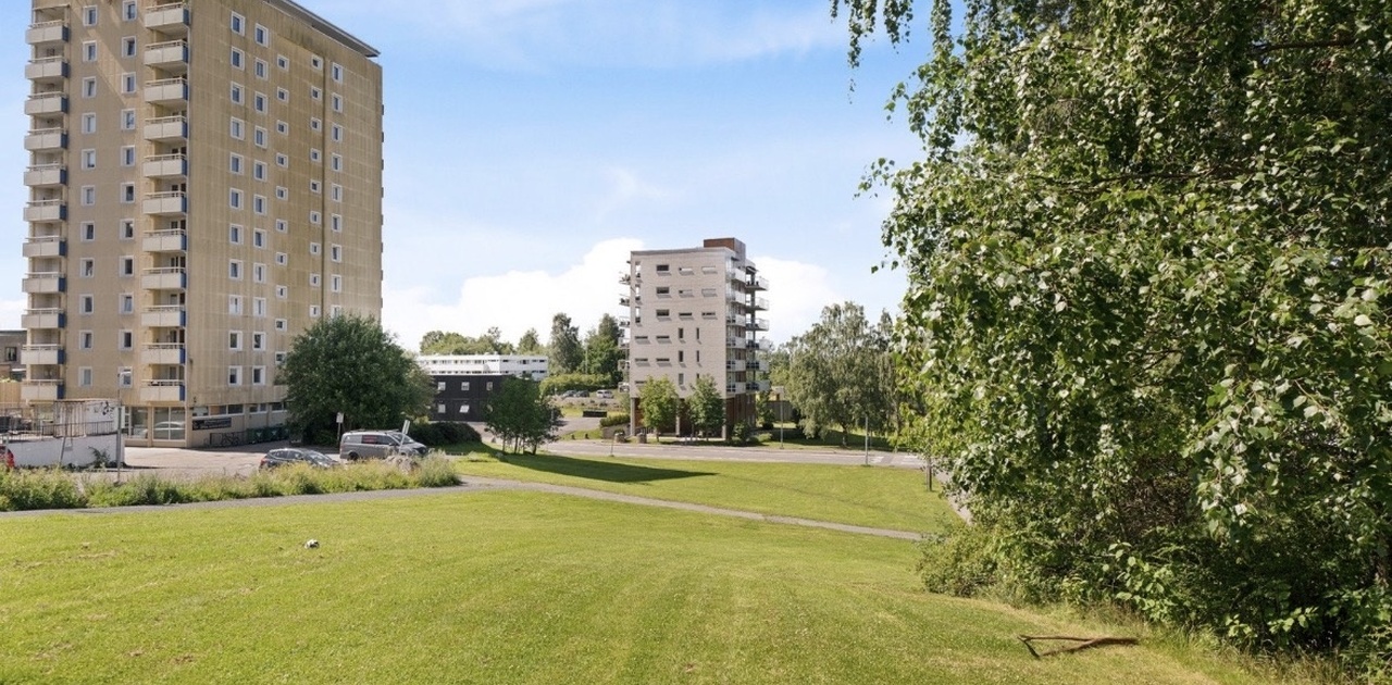 Fint grøntområde rundt blokka