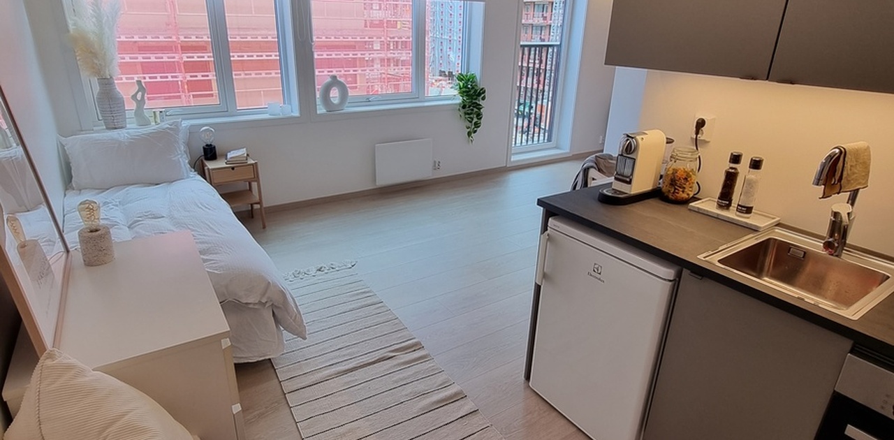 Romslig hybel med eget kjøkken og god plass til møbler