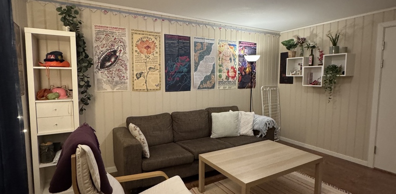Dette er stuen vår. Den har god plass og det er ikke lytt fra stue til rom