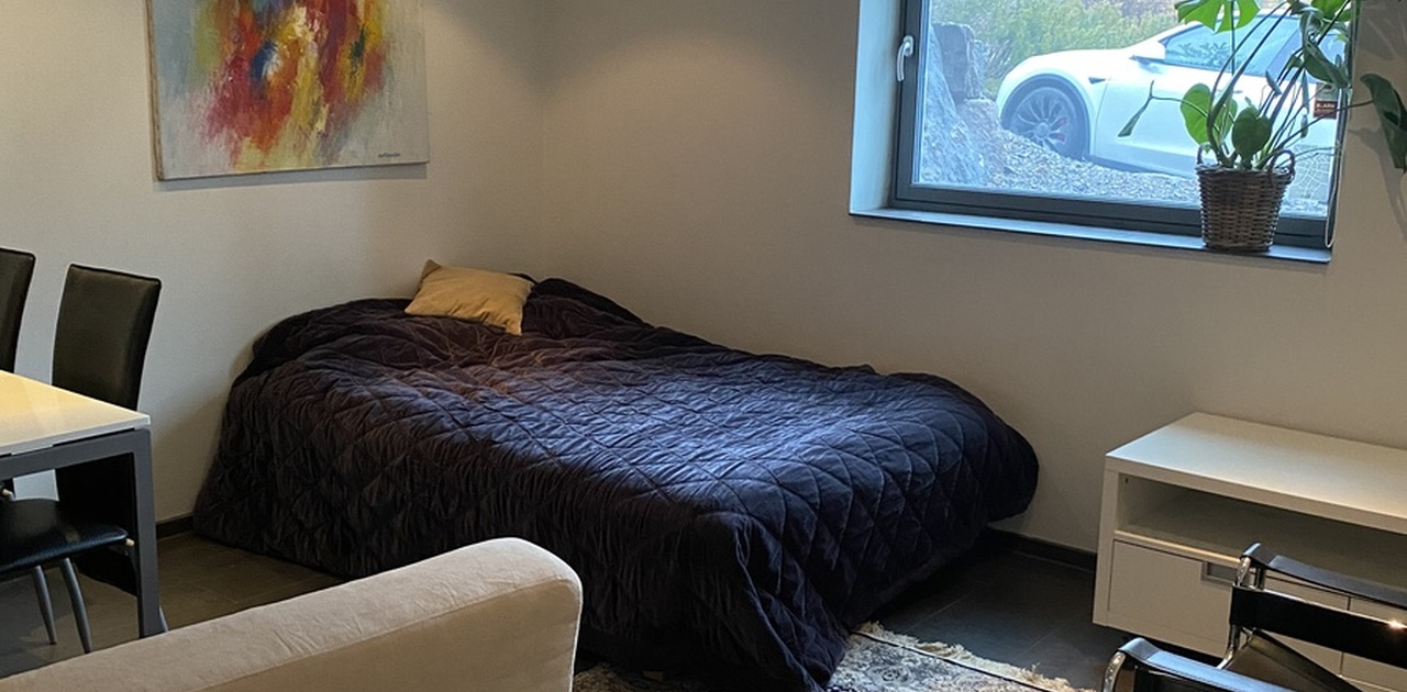 Lys og trivelig stue/soveplass