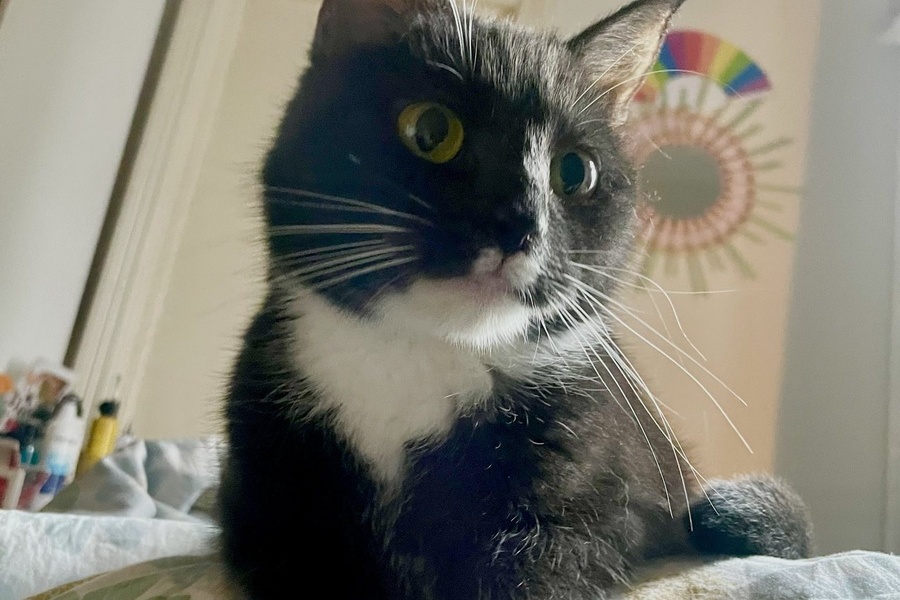 2 rom i bofellesskap