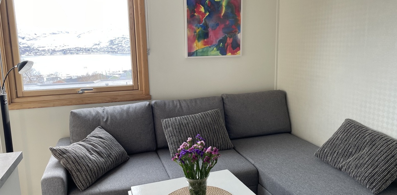 Sovesofa og sofabord, flott utsikt!