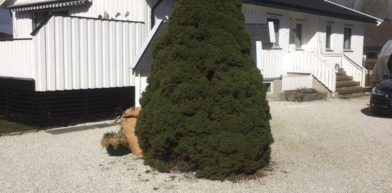 Leilighet i sokkel med egen inngang