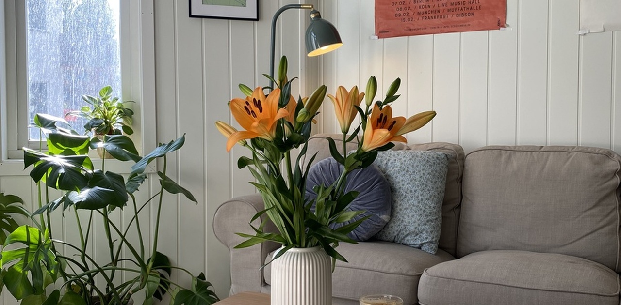 Stor og hyggelig stue med TV, 2 sofaer og et eget spisebord