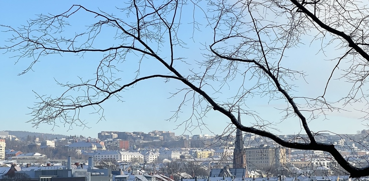 Utsikt fra balkongen