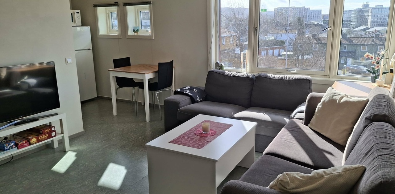 Stue og spiseområde