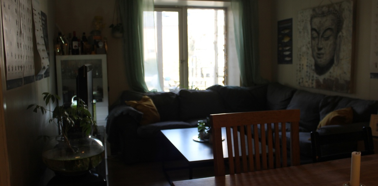 Stue/kjøkken/fellesareal