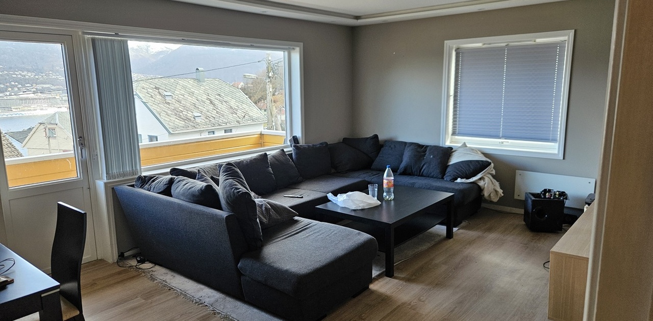 Romslig stue med stor sofa