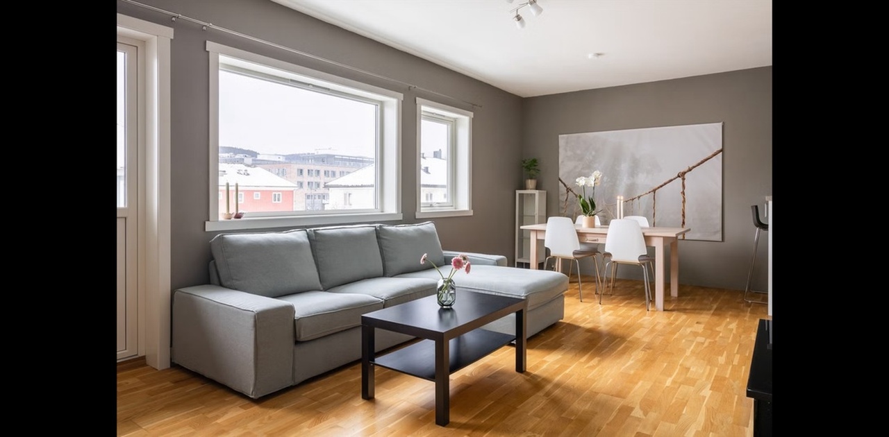 Nyoppusset stue fra 2025