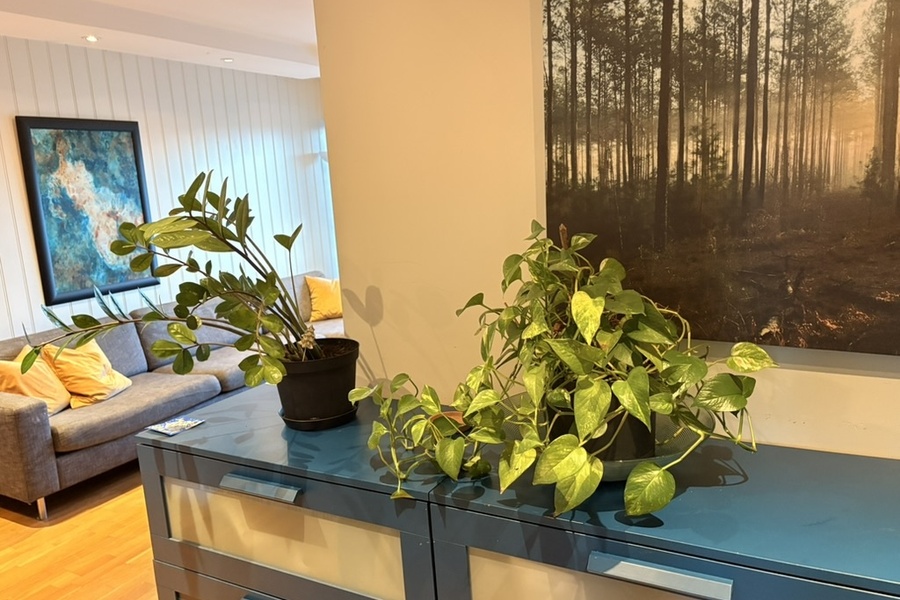 2 rom i bofellesskap