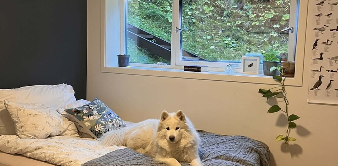 Rommet som fremleies