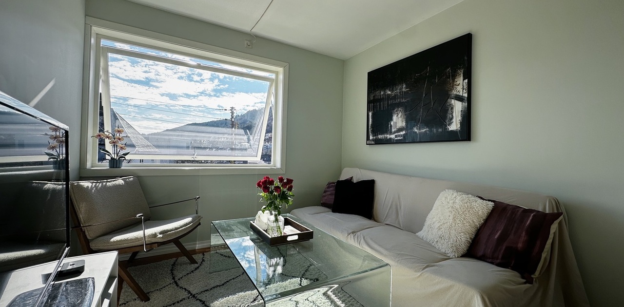 Stue. Leiligheten er vestvendt med sol og naturlig lys gjennom hele dagen.