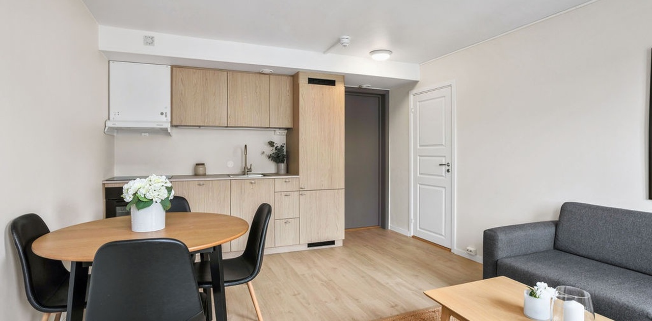 Lys og nyoppusset 2-roms