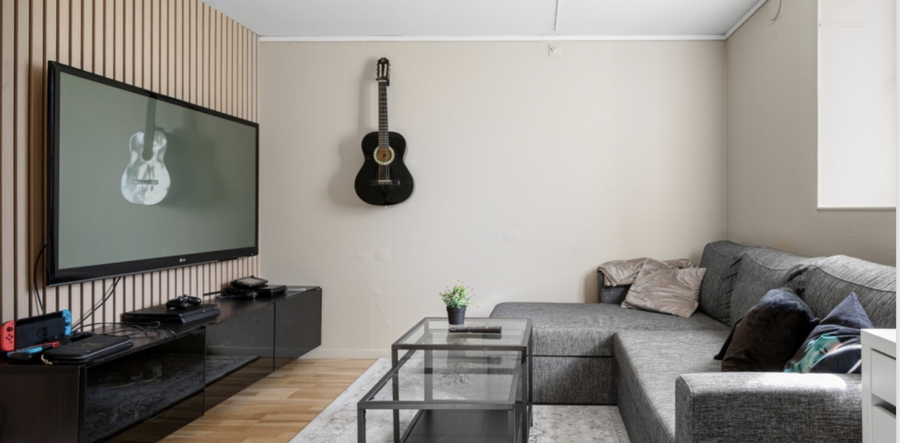 Privat oppholdsrom med sofa og TV
