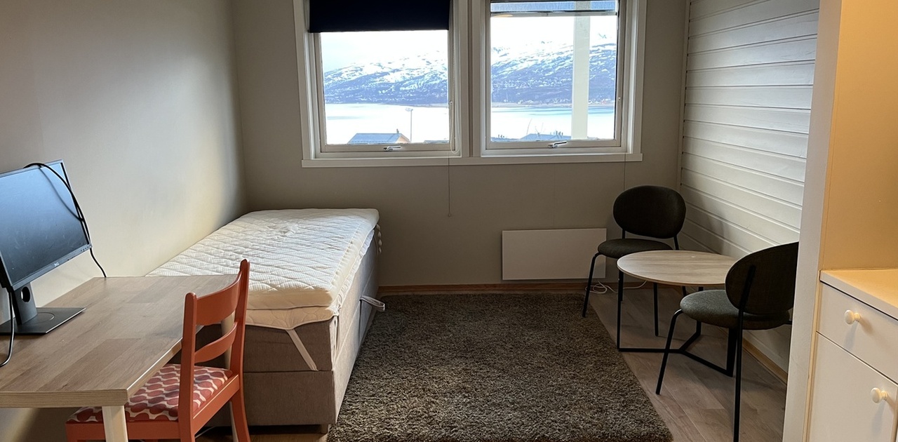 Oppholdsrom/soverom/kjøkken